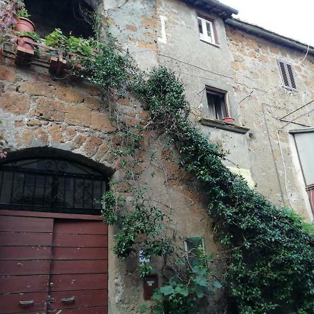 Relax Dal Caos Di Citta Apartment Barbarano Romano Exterior photo