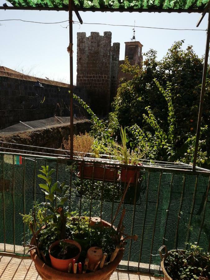 Relax Dal Caos Di Citta Apartment Barbarano Romano Exterior photo